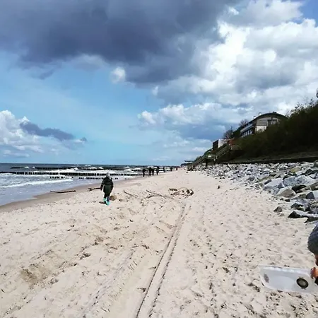 Sailor 7 Z Bocznym Widokiem Na Morze *