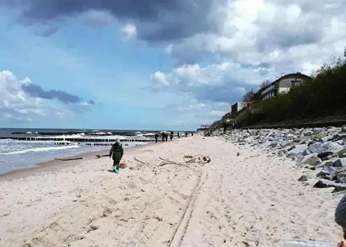 Sailor 7 Z Bocznym Widokiem Na Morze *